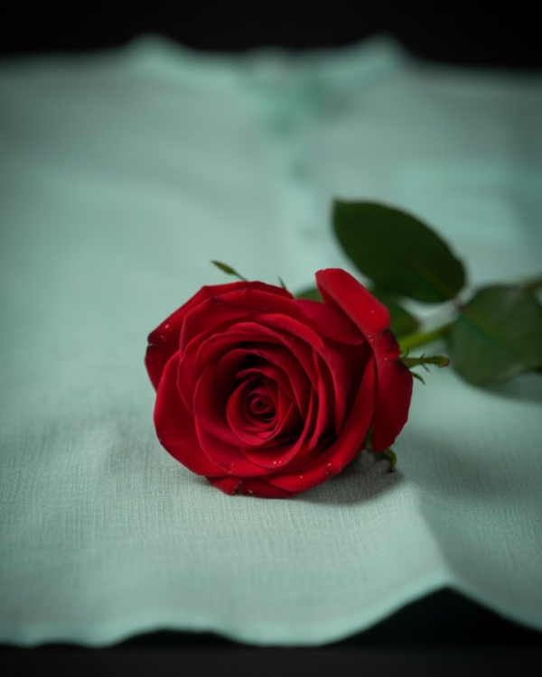 Pehanoge Mint Tide Linen Shirt | Collector's Edition Linen Collection